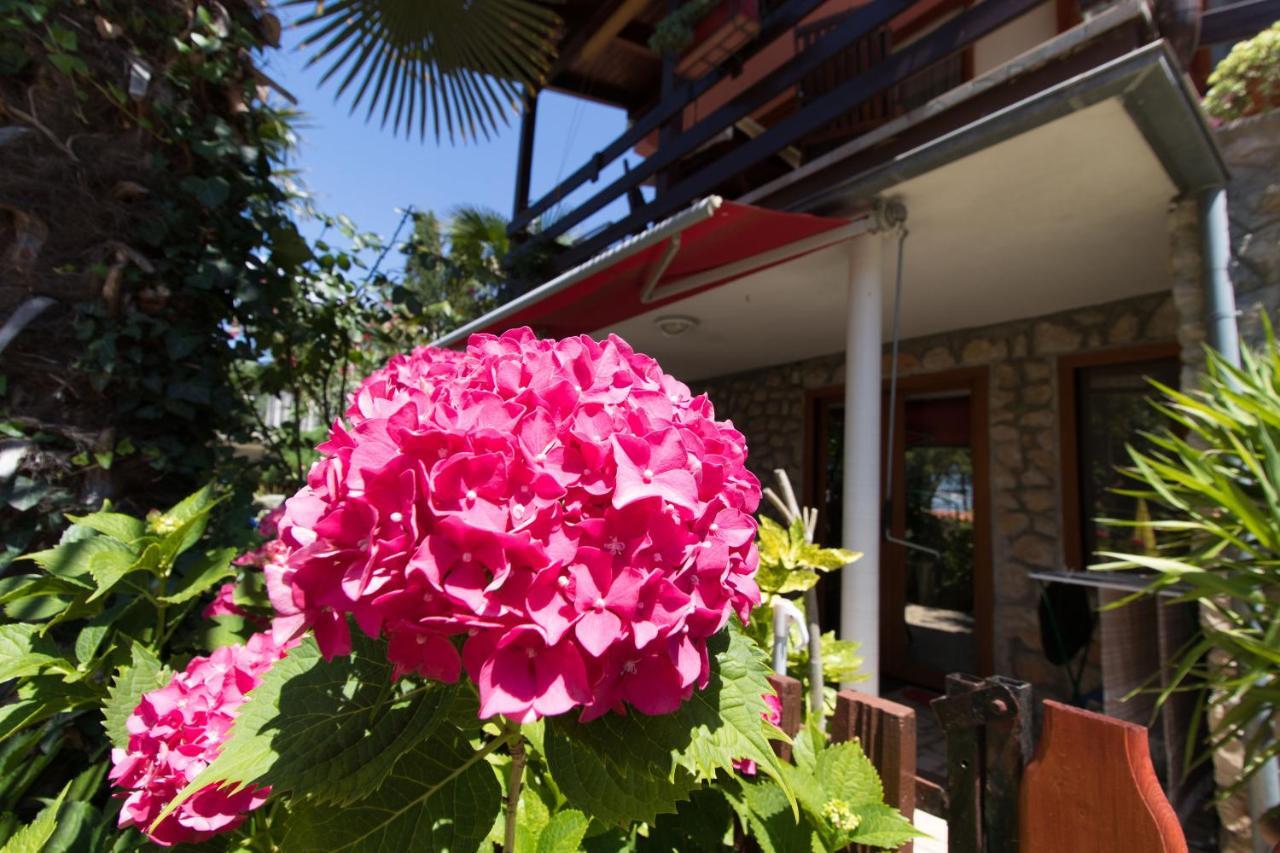 Apartment Paulina Cres Bagian luar foto